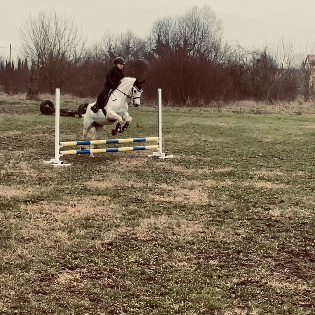 Salto Ostacoli in Campo Aperto